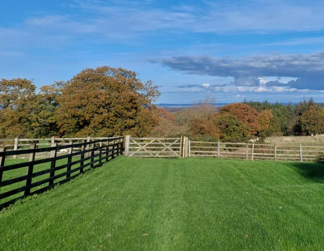 Appartamento High Whashton Springs Glamping Pod, Richmond Yorks Esterno foto
