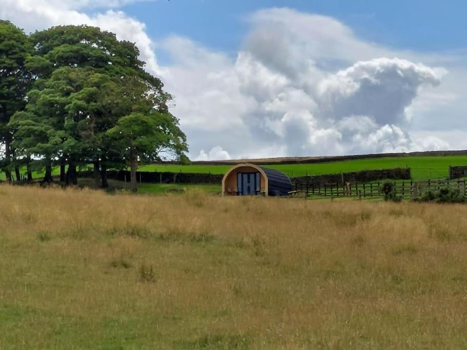 Appartamento High Whashton Springs Glamping Pod, Richmond Yorks Esterno foto